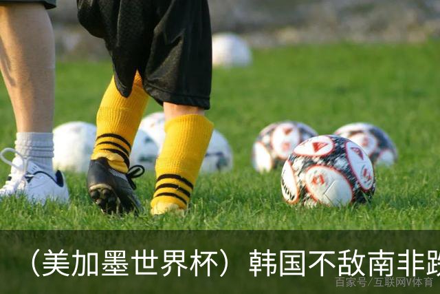 （美加墨世界杯）韩国不敌南非跌至小组第三 出线前景待定